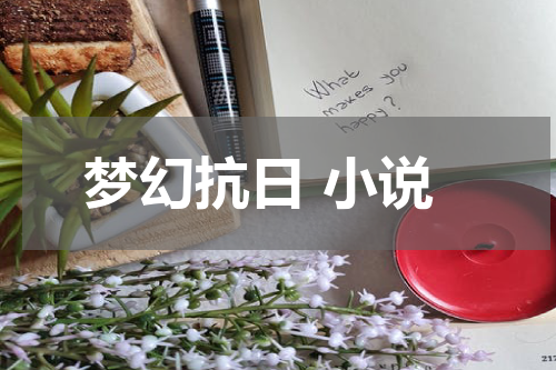 梦幻抗日 小说