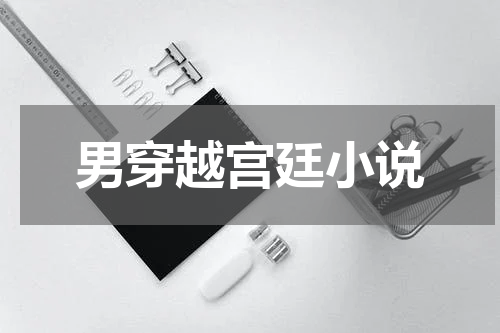 男穿越宫廷小说