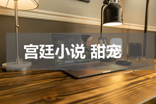 宫廷小说 甜宠