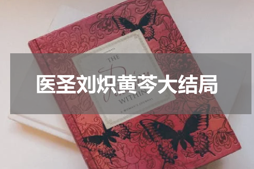 医圣刘炽黄芩大结局