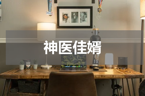 神医佳婿