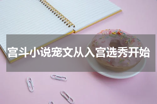 宫斗小说宠文从入宫选秀开始