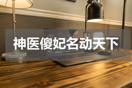 神医傻妃名动天下