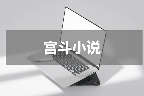 宫斗小说