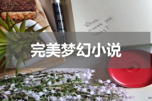 完美梦幻小说