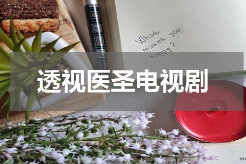 透视医圣电视剧