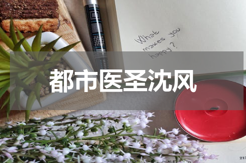 都市医圣沈风