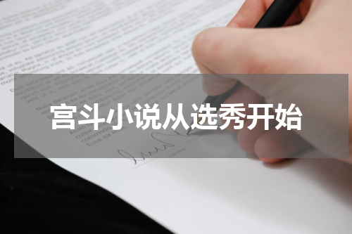 宫斗小说从选秀开始