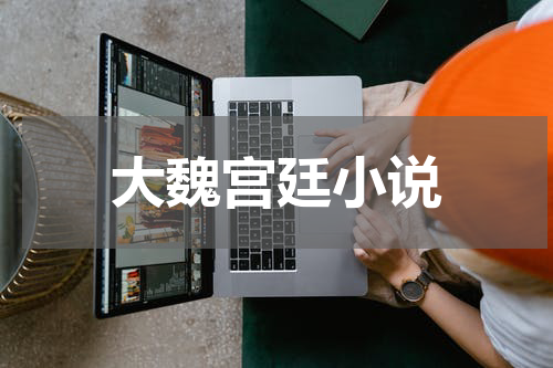 大魏宫廷小说