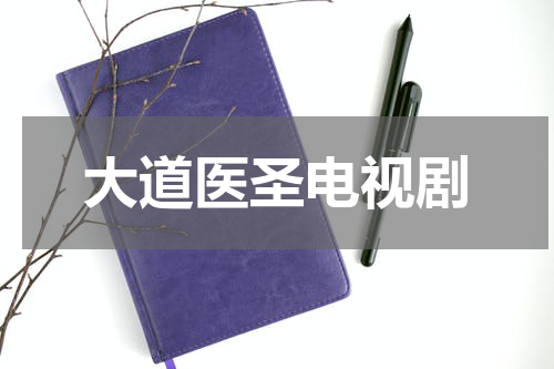 大道医圣电视剧