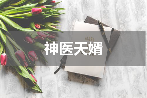 神医天婿