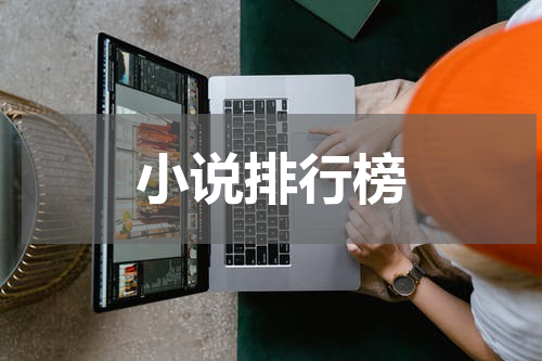 小说排行榜