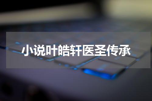 小说叶皓轩医圣传承