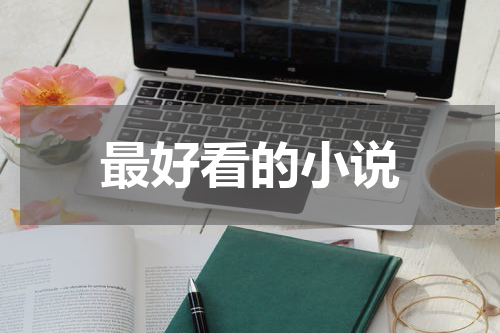 最好看的小说