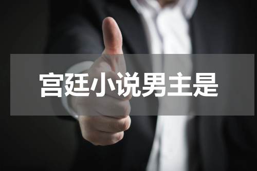宫廷小说男主是
