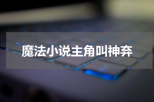 魔法小说主角叫神弃