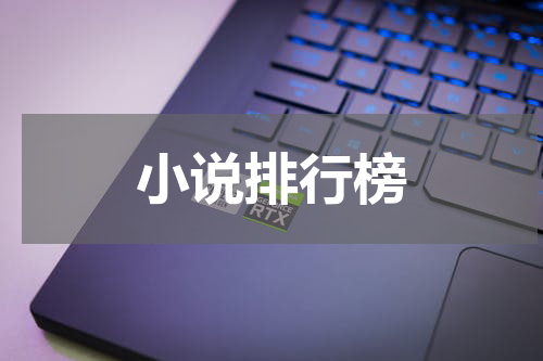 小说排行榜
