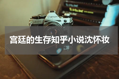 宫廷的生存知乎小说沈怀妆