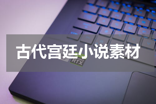 古代宫廷小说素材