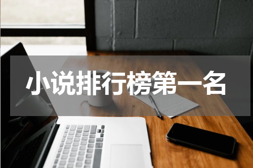 小说排行榜第一名