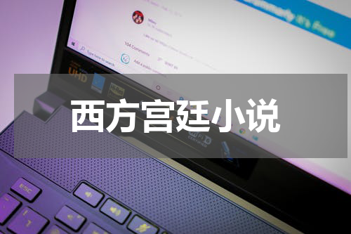 西方宫廷小说