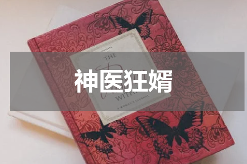 神医狂婿
