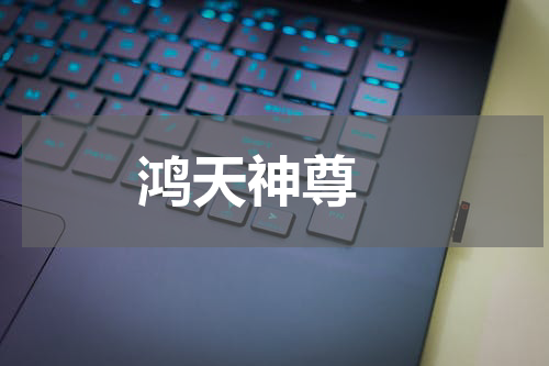 鸿天神尊 