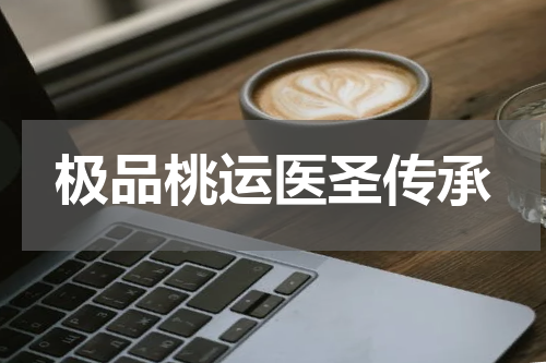 极品桃运医圣传承