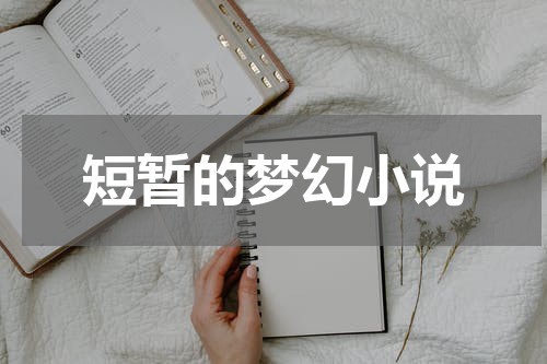 短暂的梦幻小说