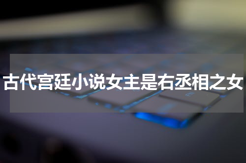 古代宫廷小说女主是右丞相之女