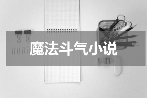 魔法斗气小说