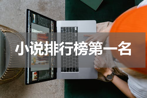 小说排行榜第一名