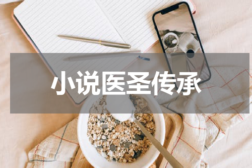 小说医圣传承