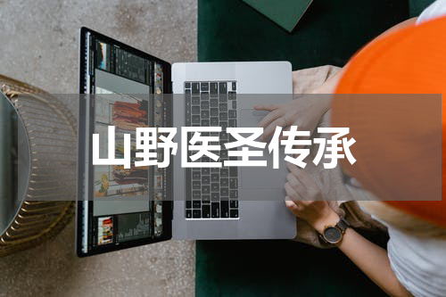 山野医圣传承