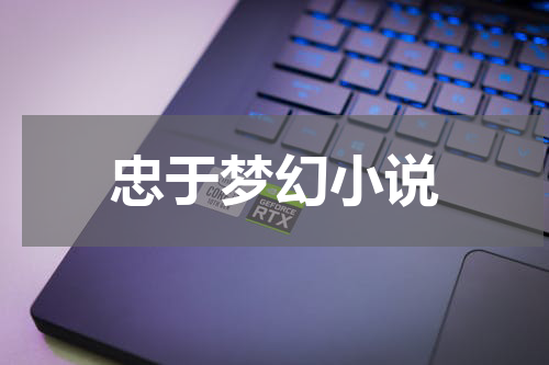 忠于梦幻小说
