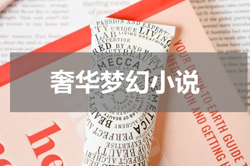 奢华梦幻小说