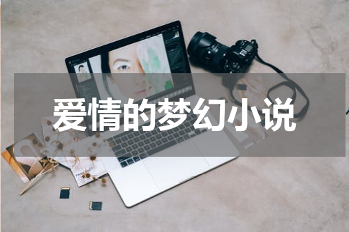 爱情的梦幻小说