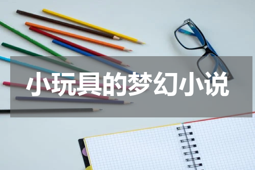 小玩具的梦幻小说