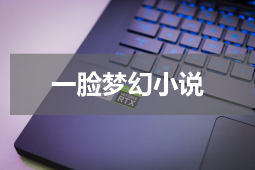 一脸梦幻小说