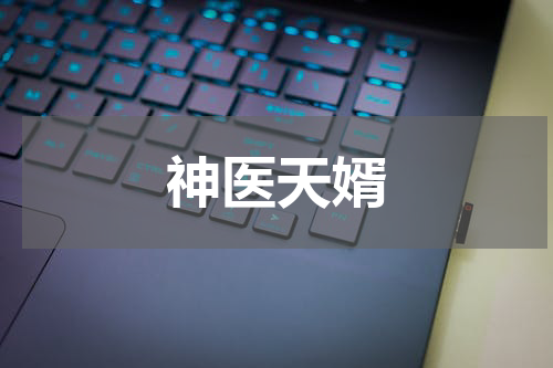 神医天婿