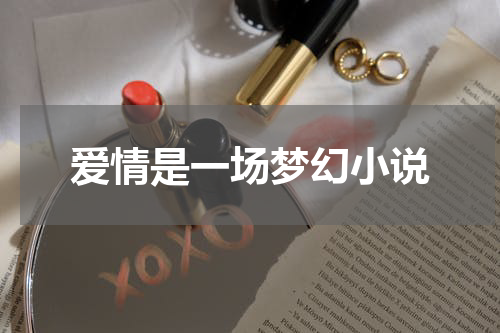 爱情是一场梦幻小说
