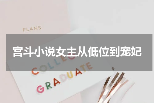 宫斗小说女主从低位到宠妃