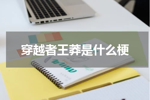 穿越者王莽是什么梗