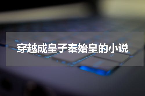 穿越成皇子秦始皇的小说