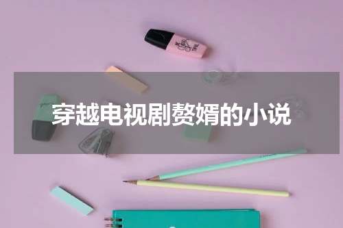 穿越电视剧赘婿的小说