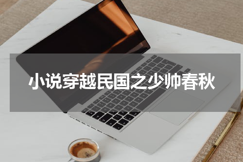 小说穿越民国之少帅春秋