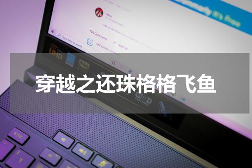 穿越之还珠格格飞鱼