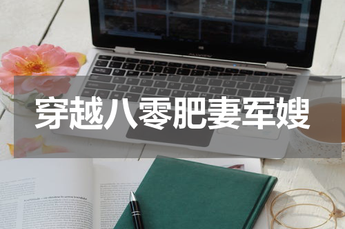 穿越八零肥妻军嫂