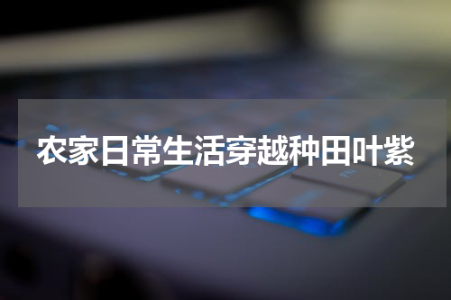 农家日常生活穿越种田叶紫