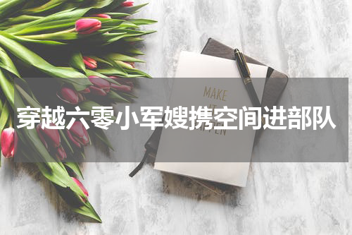 穿越六零小军嫂携空间进部队
